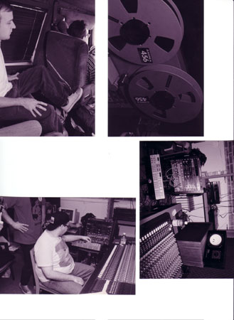 sonic-iguana-collage1