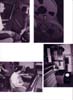 sonic-iguana-collage1